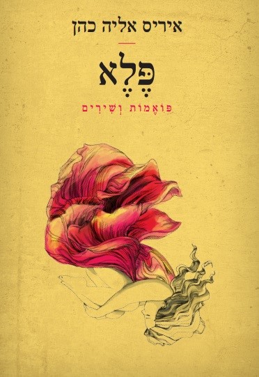 20915379_1189495361150368_8333137039183203287_n