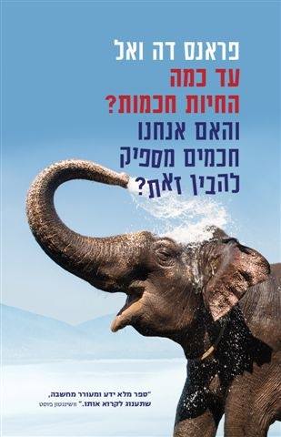 27867043_1343614502405119_7479486996880122061_n