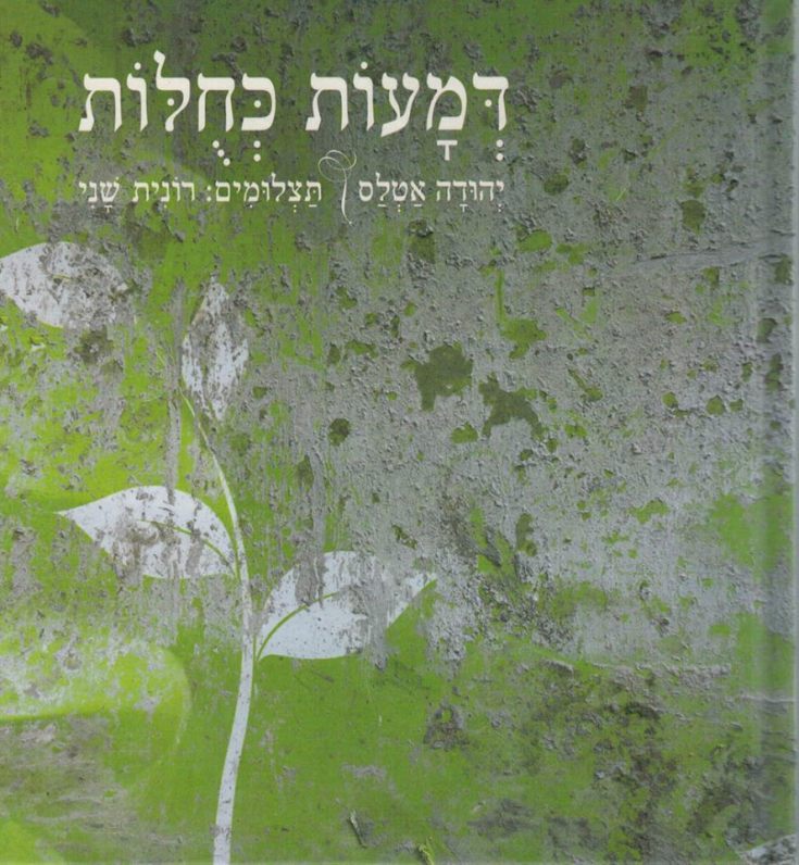 32956649_1428810360552199_8693726389423046656_n