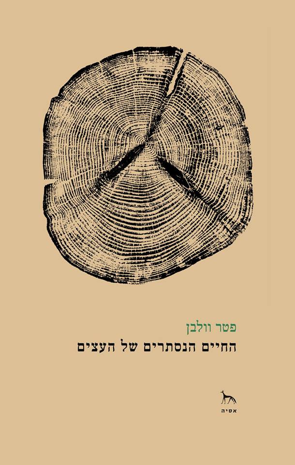 33032528_1429663283800240_1907867207807795200_n