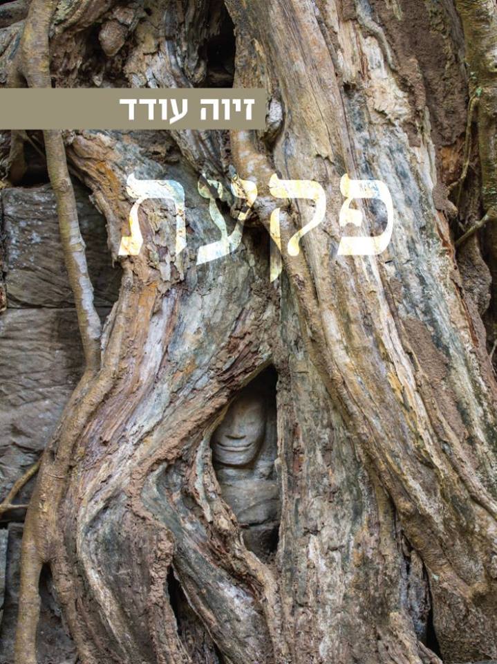 38462830_1529610877138813_990862003297845248_n