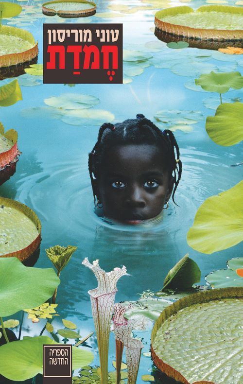 50985895_1758043444295554_7869445285406048256_n