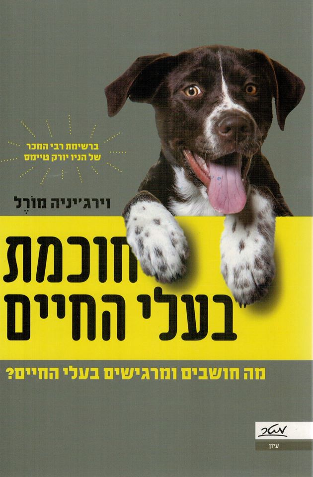 72074981_2140956536004241_4895170863738912768_o